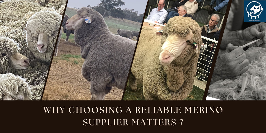 Why Choosing a Reliable Merino Supplier Matters