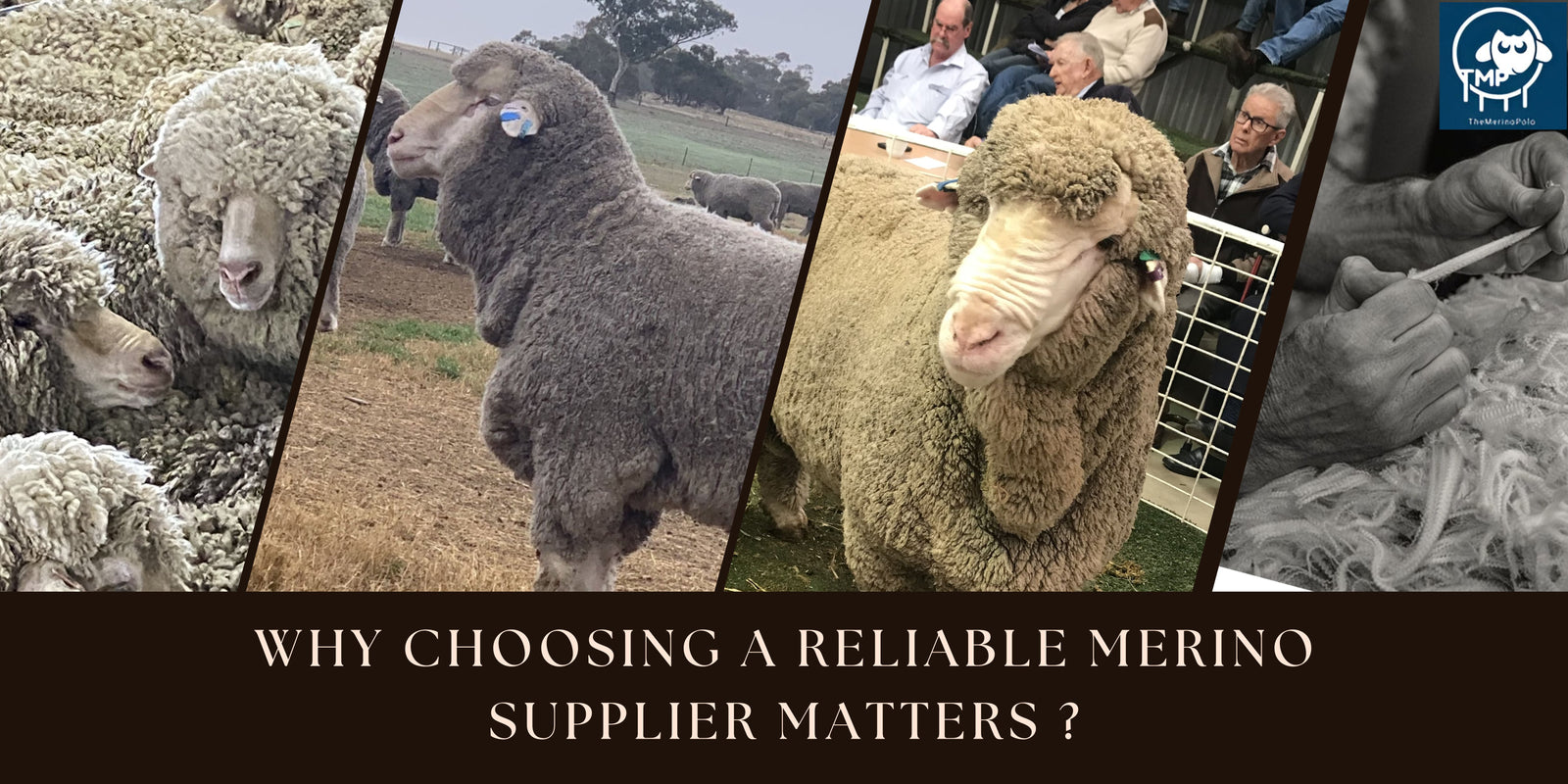 Why Choosing a Reliable Merino Supplier Matters