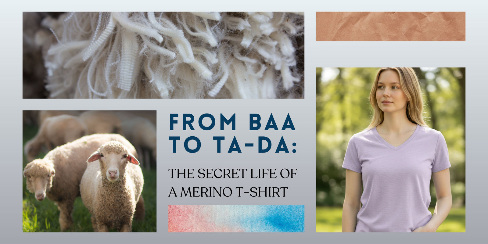 From Baa to Ta-Da: The Secret Life of a Merino T-Shirt