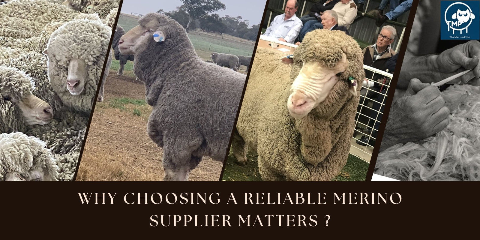 Why Choosing a Reliable Merino Supplier Matters