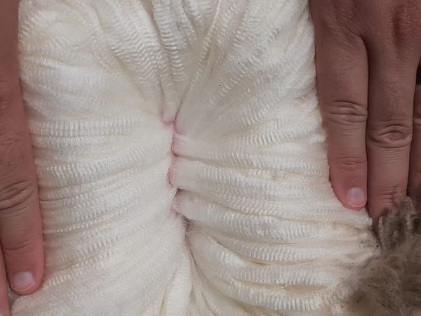 Merino Wool