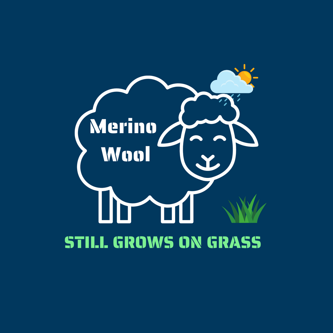 Merino Wool Crew Neck T-Shirt  - Wool Grows on Grass