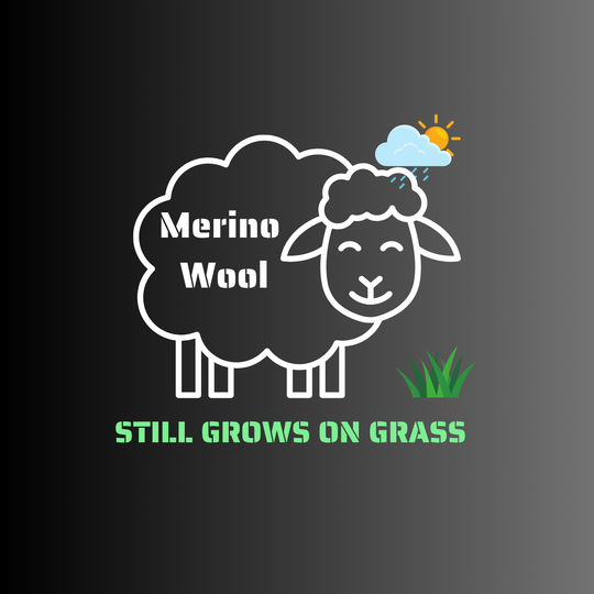 Merino Wool Crew Neck T-Shirt  - Wool Grows on Grass