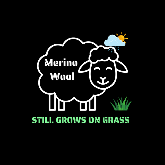 Merino Wool Crew Neck T-Shirt  - Wool Grows on Grass