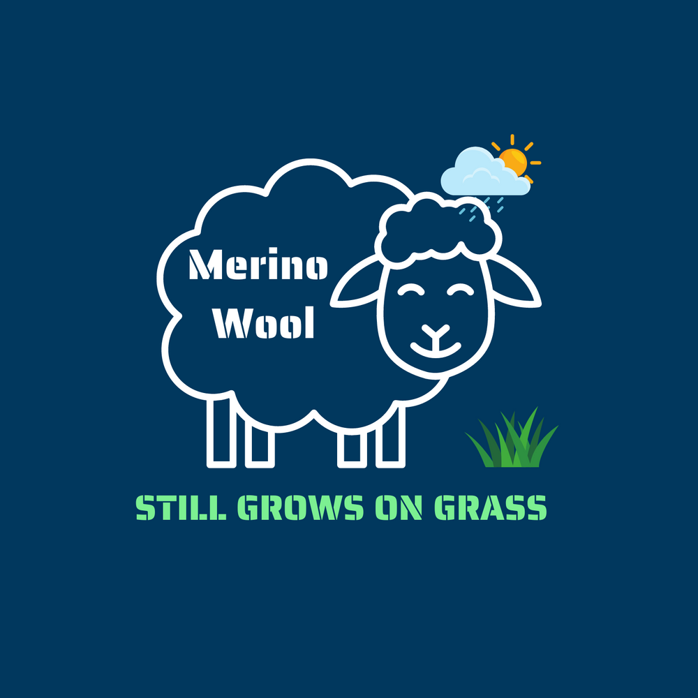 Merino Wool Crew Neck T-Shirt  - Wool Grows on Grass - The Merino Polo