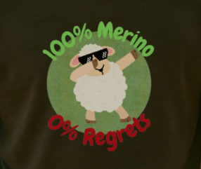 Merino Wool Crew Neck T-Shirt - 100% Merino 0% Regrets